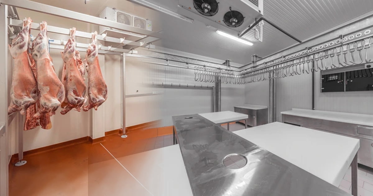 Dự án lắp đặt kho đông lạnh bảo quản thịt lợn tại Hải Dương