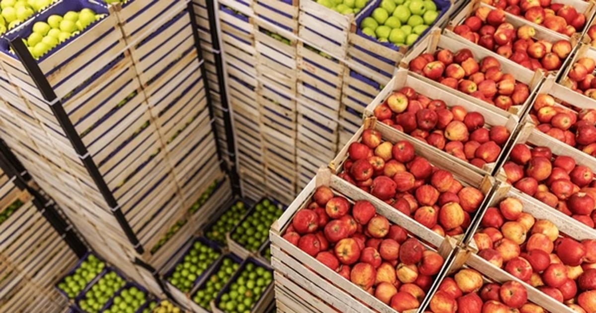 Dự án lắp đặt kho lạnh bảo quản hoa quả tại thành phố Ninh Thuận