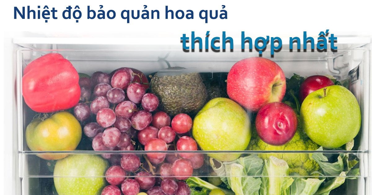 Nhiệt độ bảo quản hoa quả thích hợp nhất