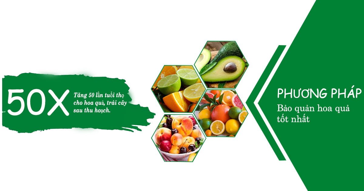 Những phương pháp bảo quản hoa quả tốt nhất