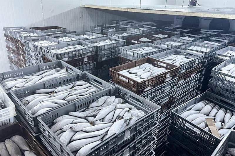 Kho lạnh bảo quản hải sản 15 Phòng đông lạnh cá